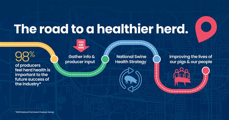 🐷 NPB is developing a producer-led National Swine Health Strategy—and your input is essential.

📋 Take the survey today and help shape the future of swine health: bit.ly/46G2JHU

‼️Survey closes Sept. 1‼️

#SwineHealth #PorkIndustry #PorkCheckoff #HealthierHerd