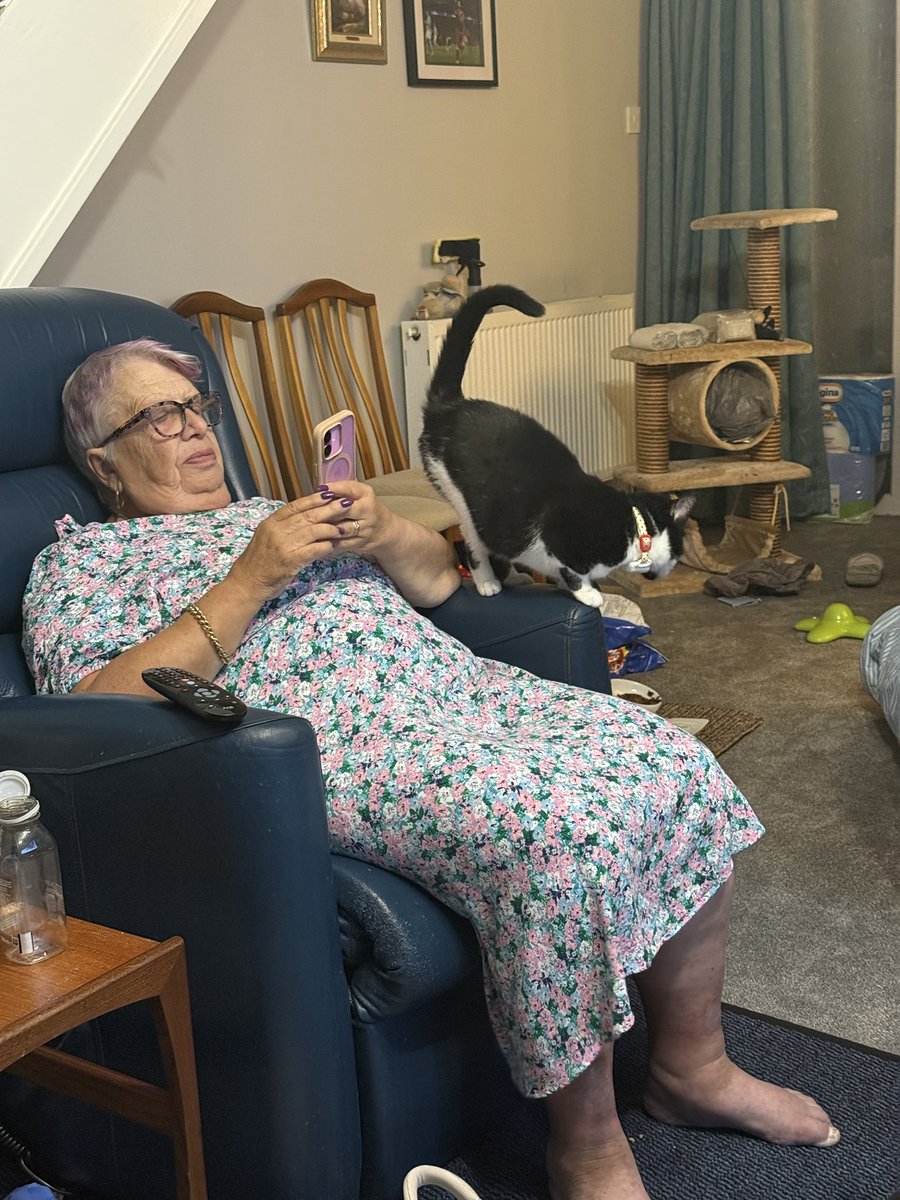 Nosy & Parker and Ted. ๐ members Lara and Mitten (@hookumcrew) on Twitter photo #Nosyparkerted have just done a #HedgewatchforJunysek Parker in the photo here trying to get hoomum to give her more food, this is despite all 3 of us ate at my house - Ted #Nosyparkerted have just done a #HedgewatchforJunysek Parker in the photo here trying to get hoomum to give her more food, this is despite all 3 of us ate at my house - Ted