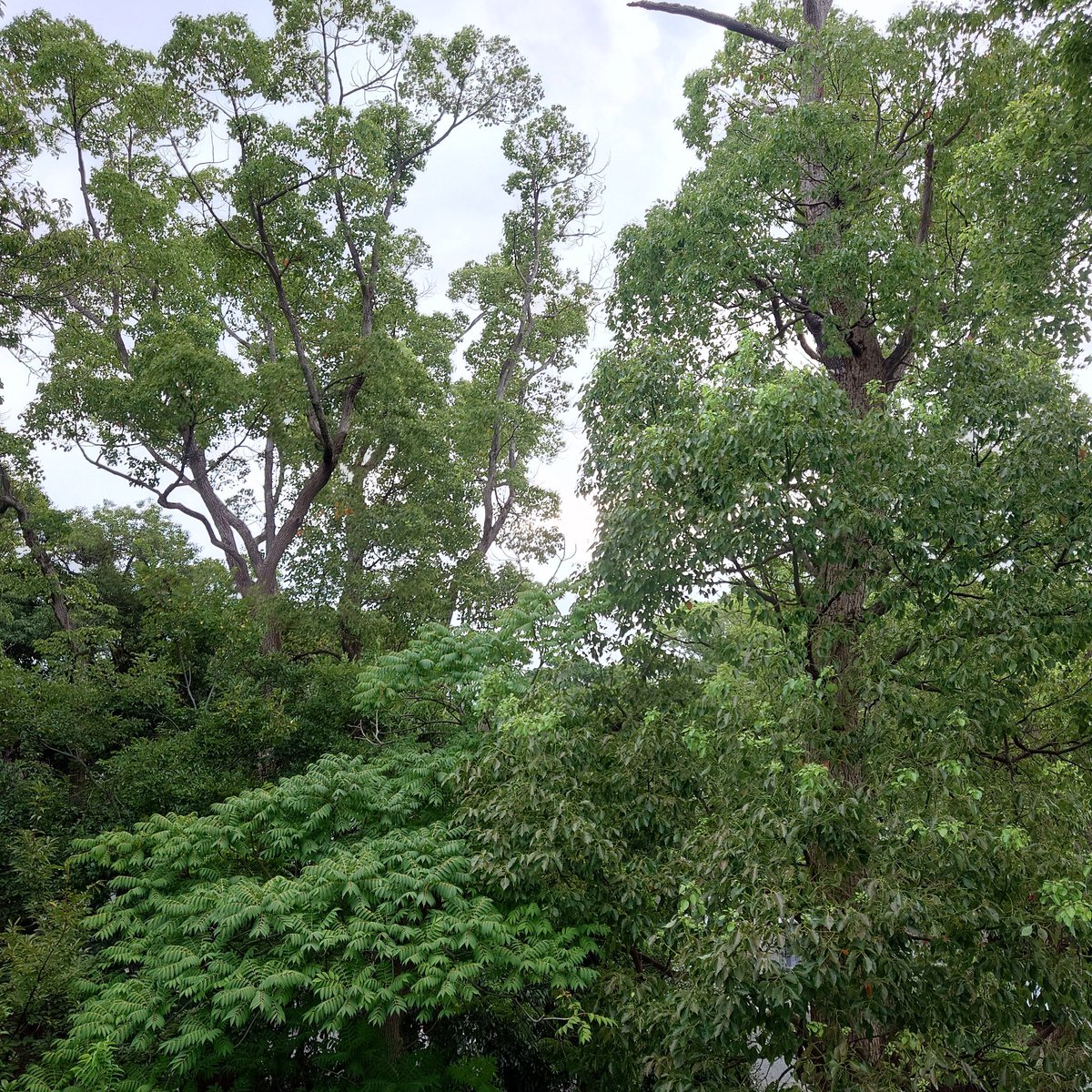 おはようございます☀
涼しくなりましたね。