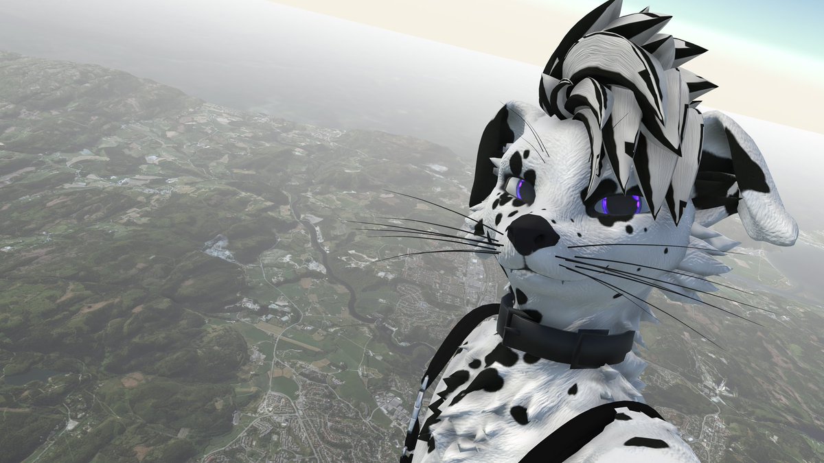 Cookiehero0's tweet photo. A selfie from a HIGH perspective~ #macrofurry https://t.co/rvLOC9HgUP