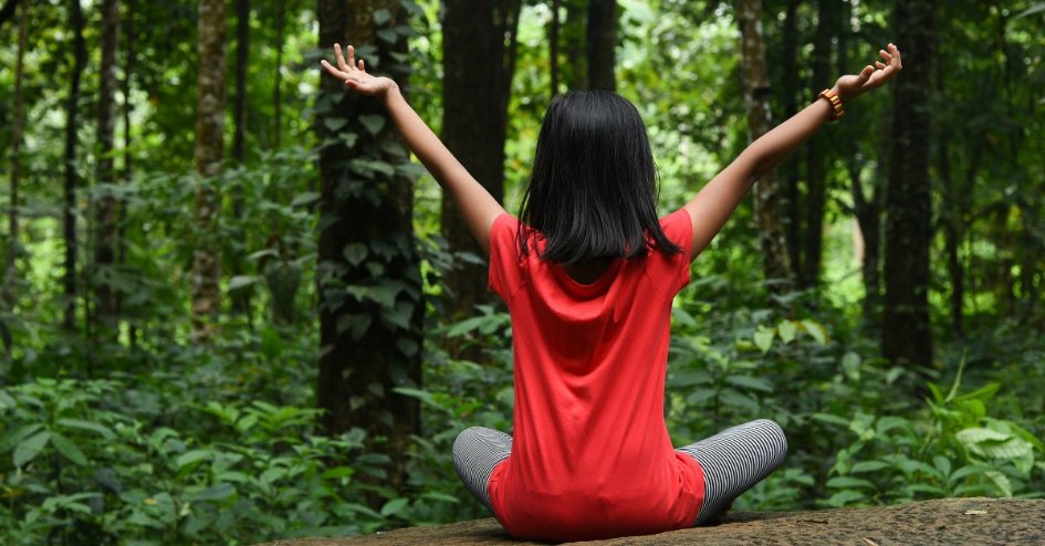 naturalist and bird count india turning forest walks into science based exploration thebetterindia.com/482509/mobile-…