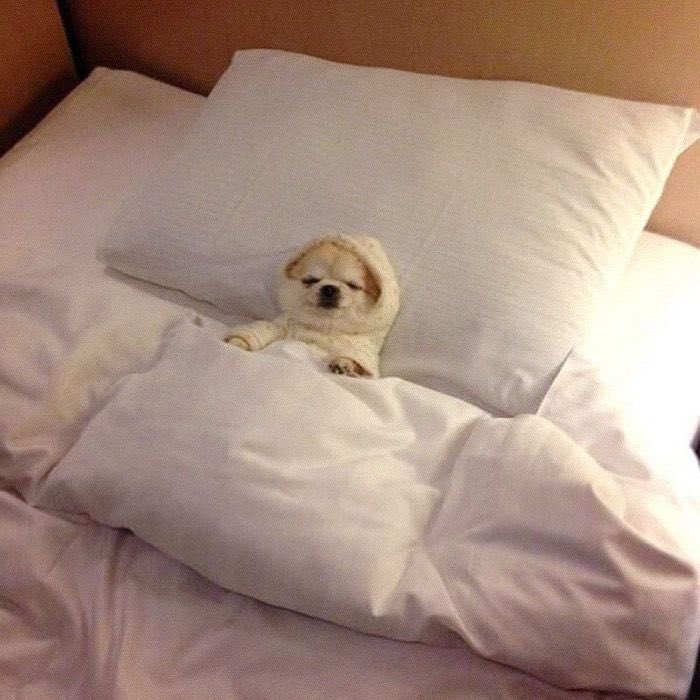 mellygoldie's tweet photo. Me just thinking about @RingfenceAI https://t.co/4YriUP603q