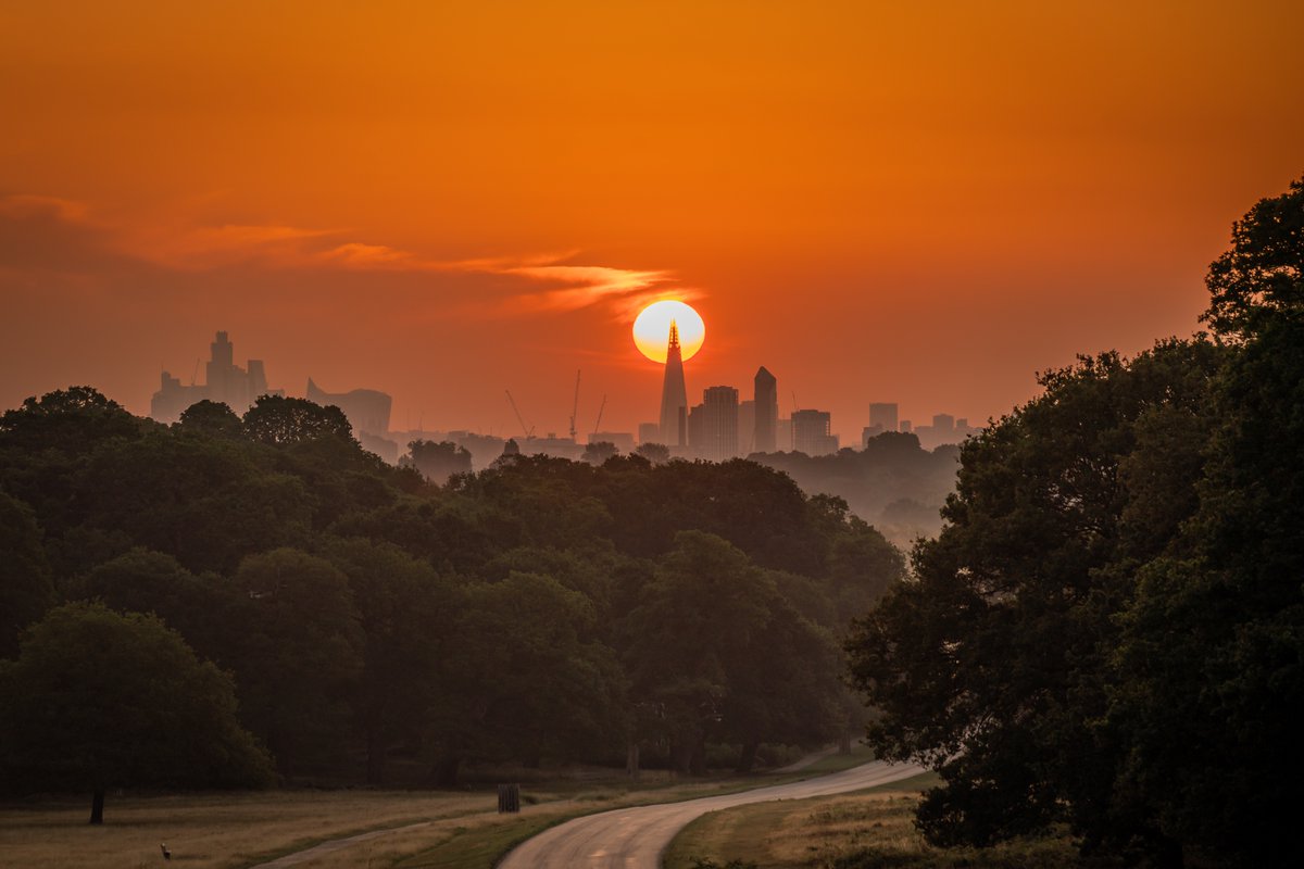 Sun Rising Behind The Shard. 
Some mornings are worth the early alarm call and this morning was definitely one of them. 
Lovely to see so many other local photographers out and about capturing this special moment as well. <a href="/theroyalparks/">The Royal Parks</a>
#sunrisephotography 
#shard 
#richmondpark