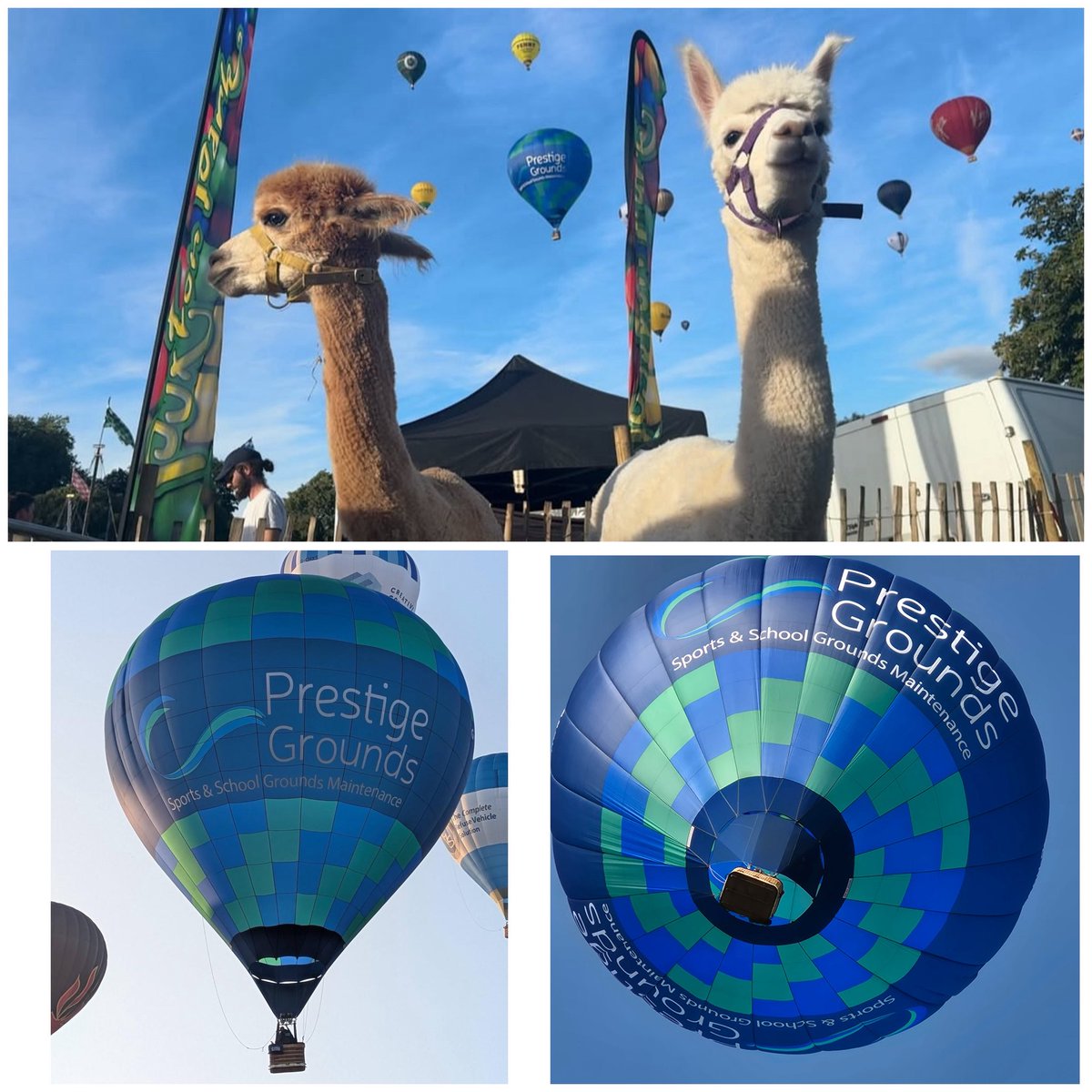 Prestige Grounds tweet media