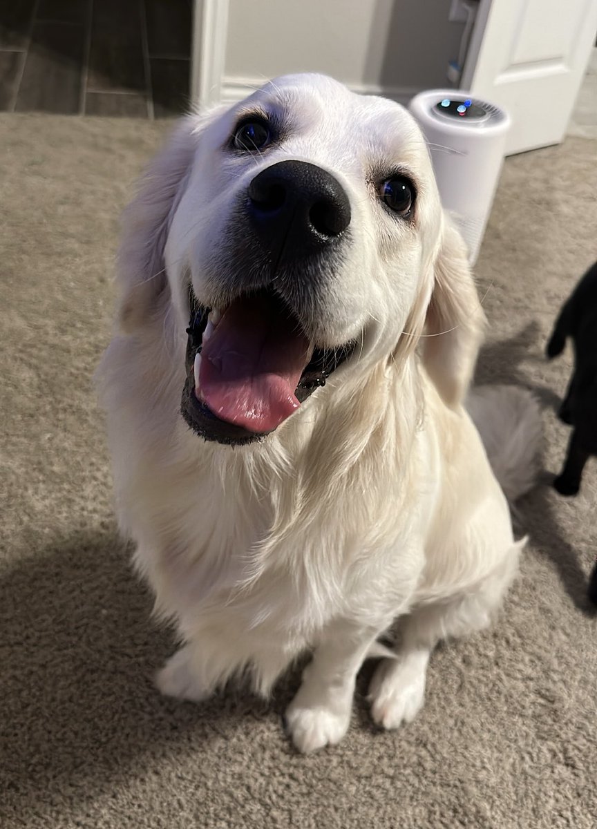 happiest 3rd birthday to my son🥳🎂🎉