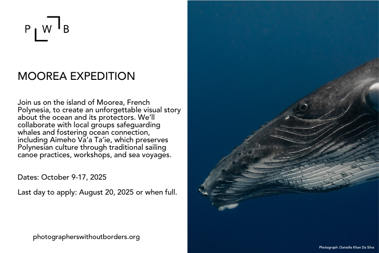 Photographers Without Borders tweet media