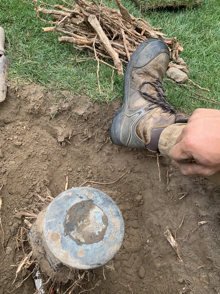 Connor Dickson tweet media