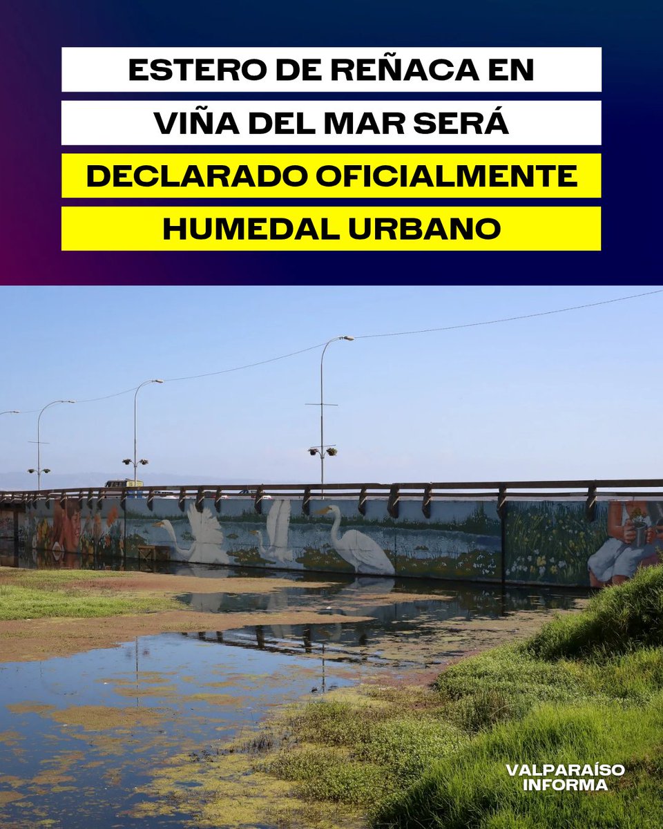 Mañana martes, el Gobierno declarará oficialmente al Estero de Reñaca de Viña del Mar como humedal urbano. Así lo confirmó el Ministerio de Medio Ambiente.

De acuerdo a información del ministerio, el objetivo de este tipo de declaraciones es garantizar la protección efectiva de