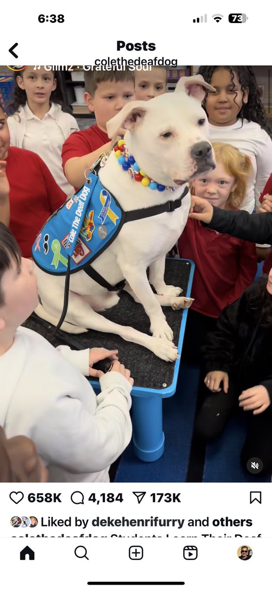 Art by Heim (Johnny) tweet media