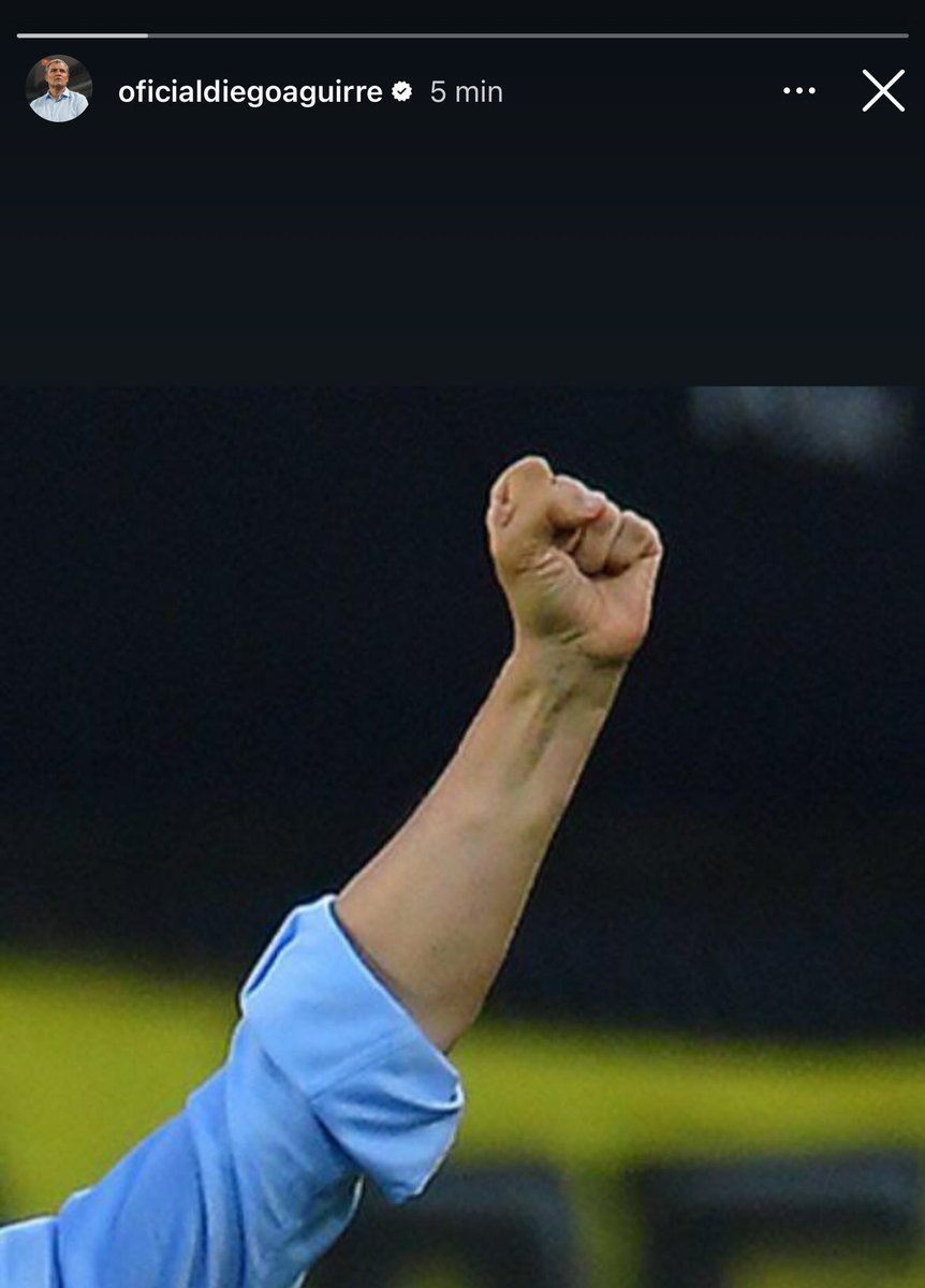 Puño apretado. 
Embanderado a la ilusión.