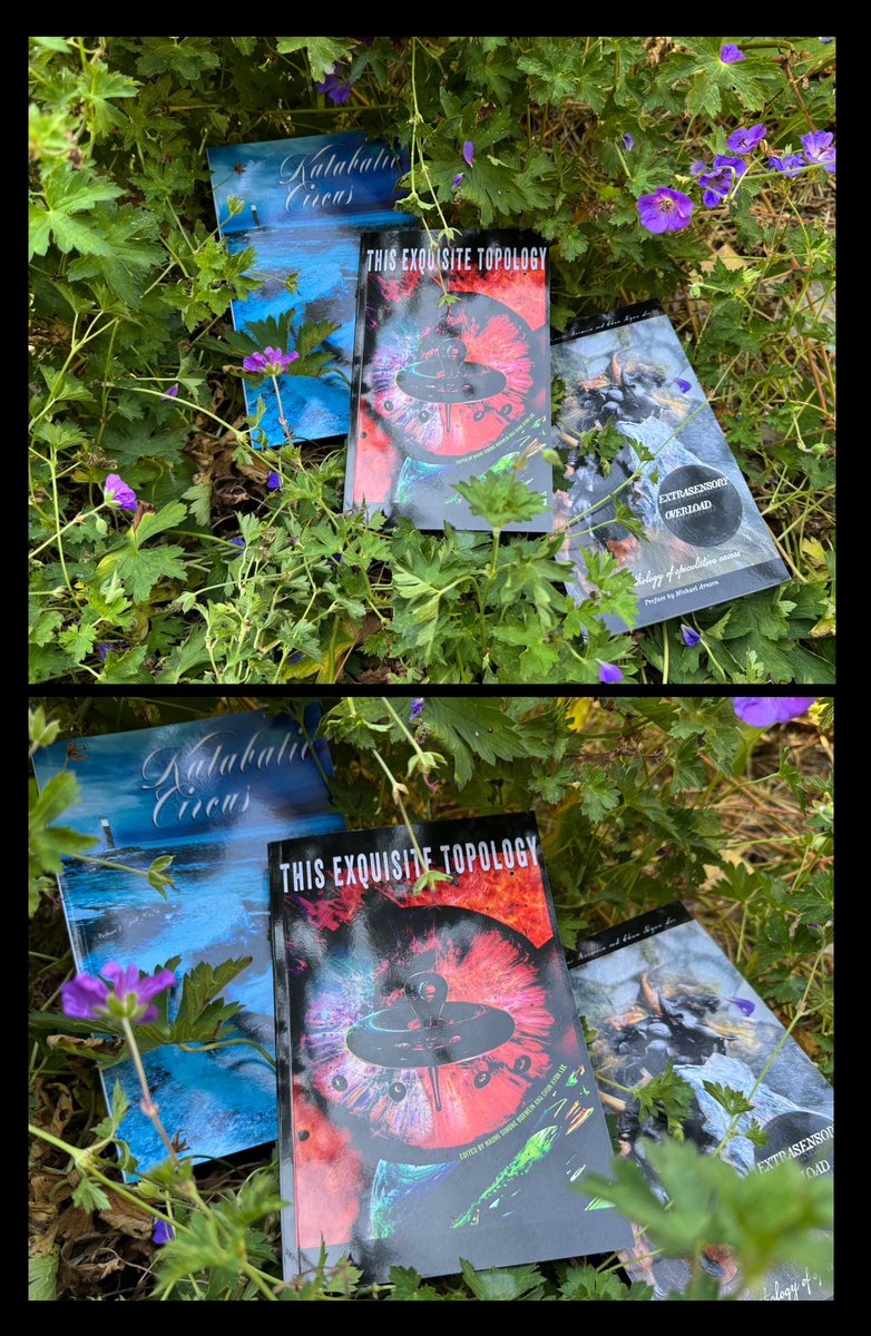 The Angry Gable Press books. 

Angrygablepress.com