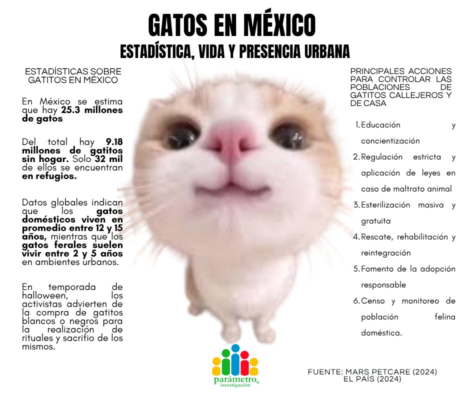 #DatosParámetro en el #DíaDelGato 🐱

En México habitan 25.3M de gatos. De ellos, 9.18 M son gatos sin hogar y solo 32 mil están en refugios. 🐈
Promedio de vida: domésticos 12-15 años; ferales 2-5. En Halloween aumenta la compra de gatos blancos o negros para rituales. 😢🐈‍⬛