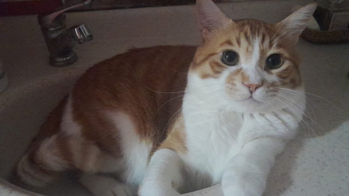 lavaboya bile sığamıyorummmmmmmm