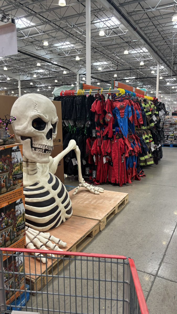 ridleyww's tweet photo. @CNviolations Costco already has Halloween and Christmas stuff on display. https://t.co/3lnC55g8K9