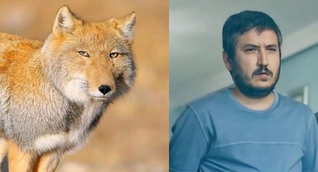 Schjsm's tweet photo. @amiminkeyyfi daha iyisi yok https://t.co/lvvCyQIHM4