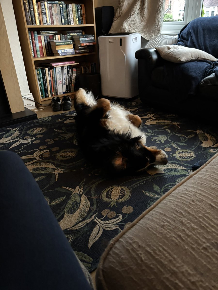 tracey_ta's tweet photo. @BexBookaholic Sending lots of bookish and doggo love https://t.co/atghnruPQq