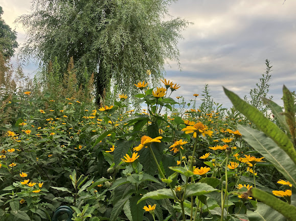 homebalancer's tweet photo. Summer in the city. Hudson River Park, Chelsea, NYC.
#photography #NaturePhotography #art #sunshine #photographers #Cityliving #iloveny #timeoutnewyork
@ThePhotoHour @photographmag @OutdoorPhotoMag
#Cityliving #thisisnewyorkcity @HudsonRiverPark https://t.co/cPQ9MeRvsi