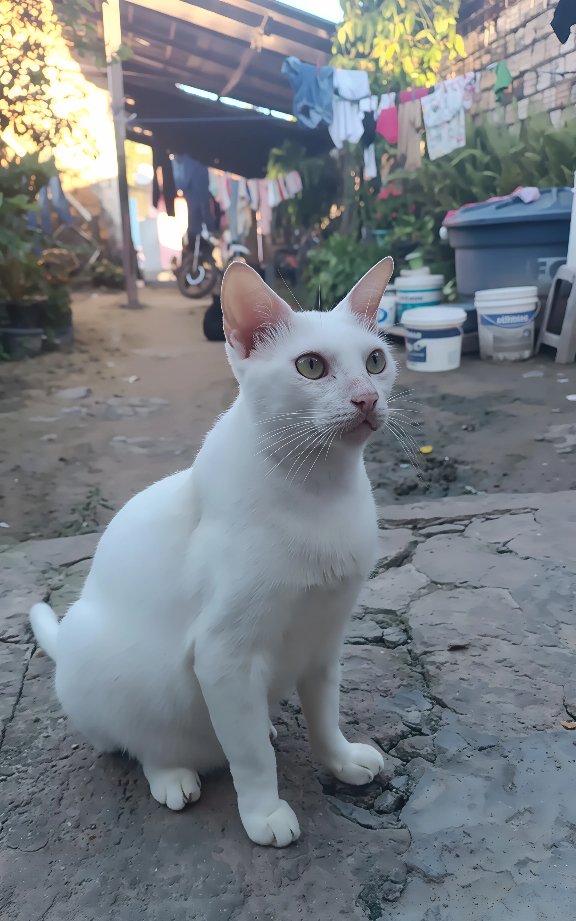 Vanessafp09's tweet photo. Vou te amar para sempre, meu amor 

🖤😭 https://t.co/BD1AYDl1QK