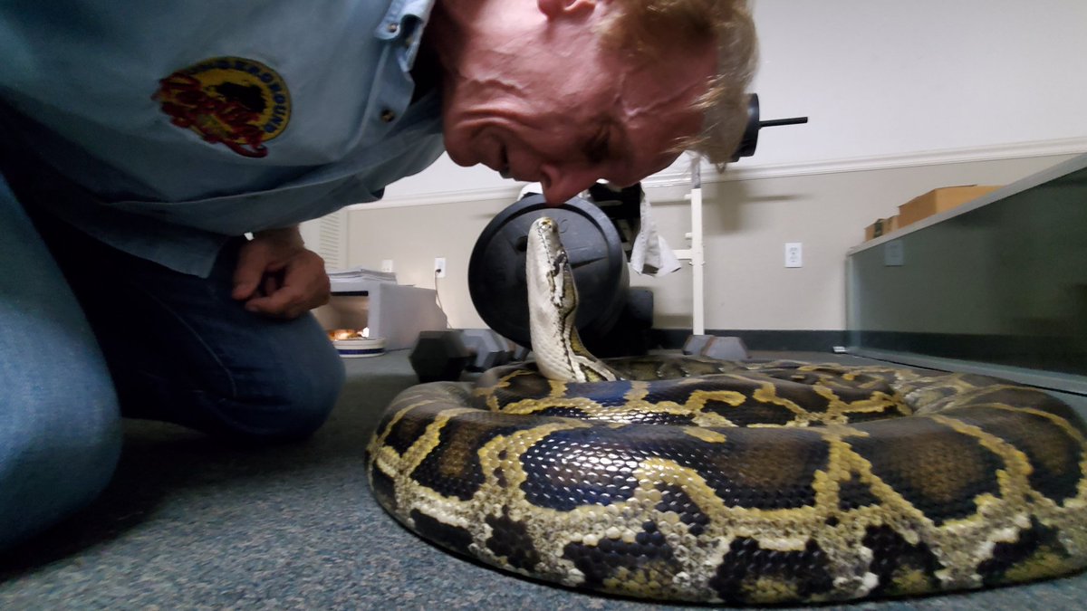 JM Miller tweet media