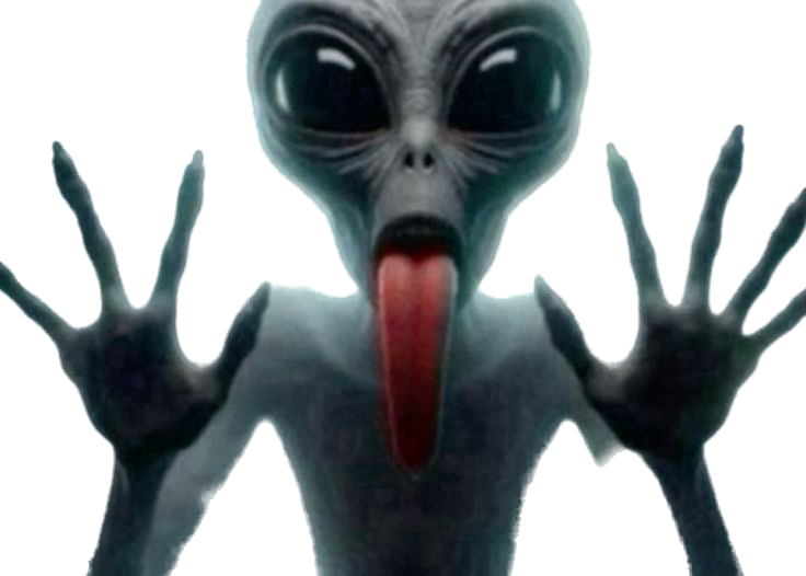 c4sn0v4's tweet image. 