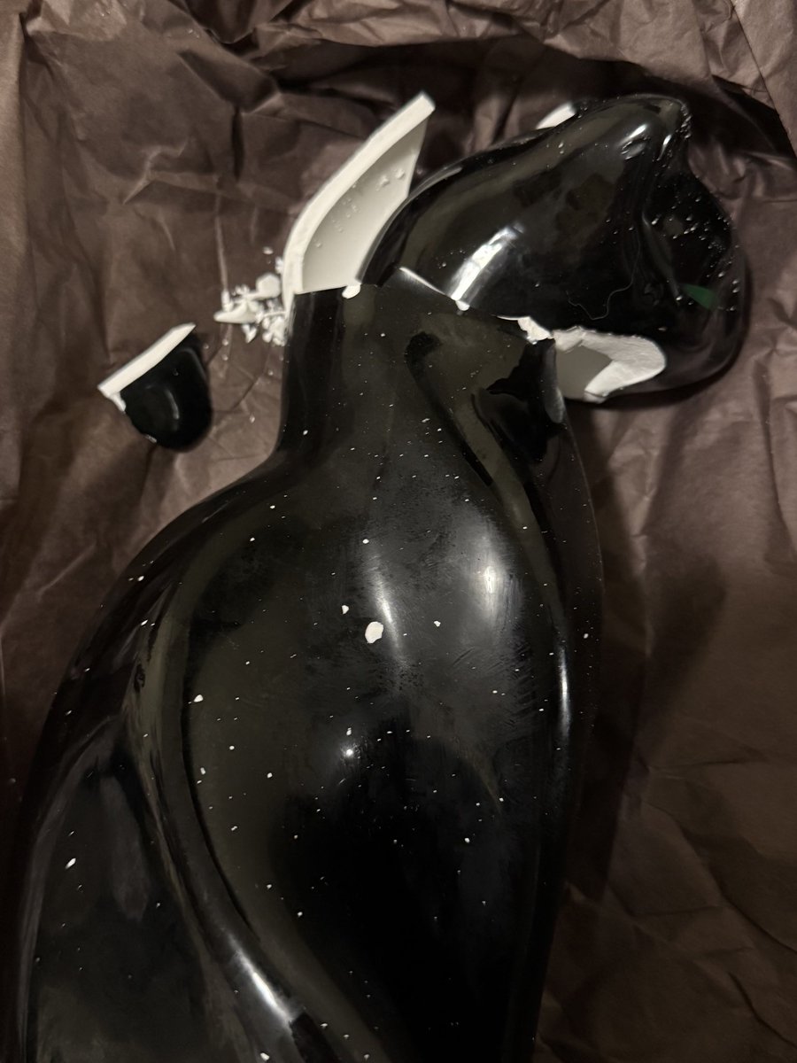 Did you like my headless cat <a href="/awsten/">AWSTEN KNIGHT</a> I have her sister that died in labor