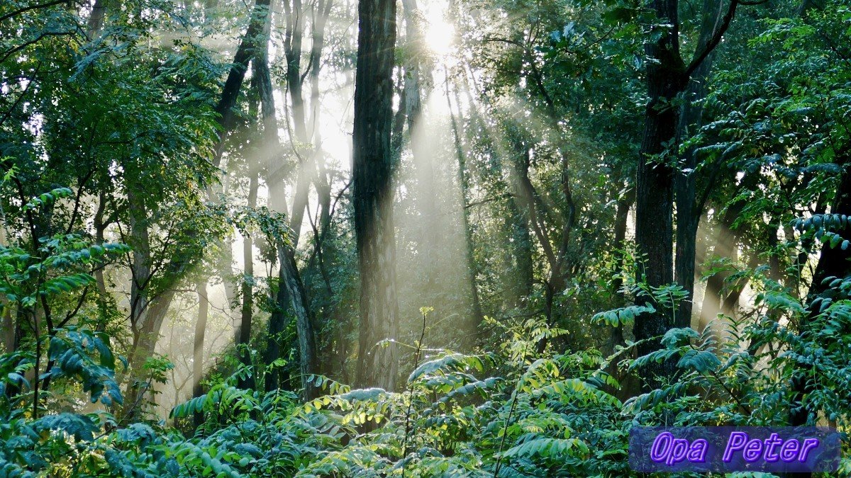 Guten Morgen allerseits!
Wünsche, wohl geruht zu haben!
Habt einen schönen Tag ☀️🍀💖

➡️Ach du lieber Gott!
Josef Fritzl, das Monster von Amstetten, beantragt mal wieder seine Entlassung aus dem Gefängnis.

Auf geht's, Früh-Runde mit🐕‍🦺Aimy.
#Briesen(Mark) #Oderland