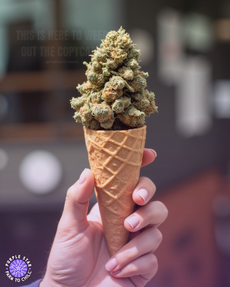 Scoops of green, because dessert just got a lot more interesting 🍦🌿 #SanFrancisco #BayArea

Drop by and say hi! DM us to receive a gift 🎁 with your purchase!