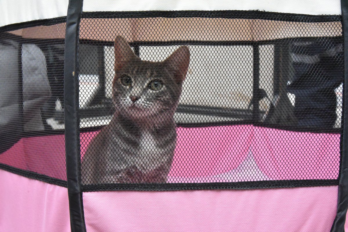 Eduardo Gomez Sanchez tweet media