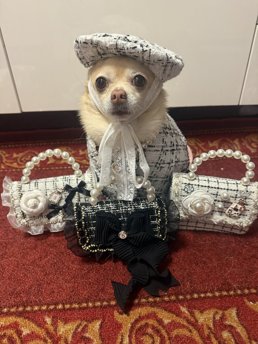 🧚🏻‍♀️🎀 Tinkerbell 🎀🧚🏻‍♀️ tweet media