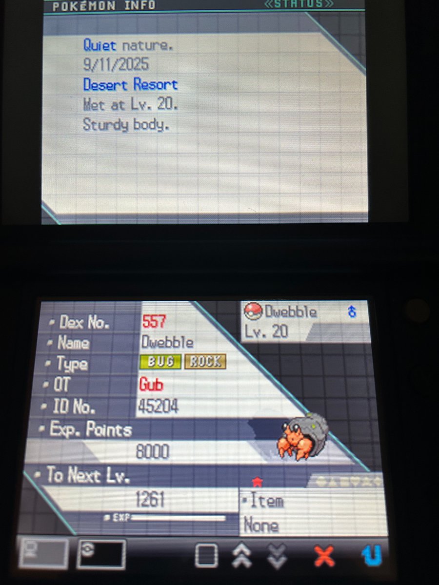 Shiny Dwebble in Black version after 2,048 encounters (25,698 total). Phase 8 for Darumaka.