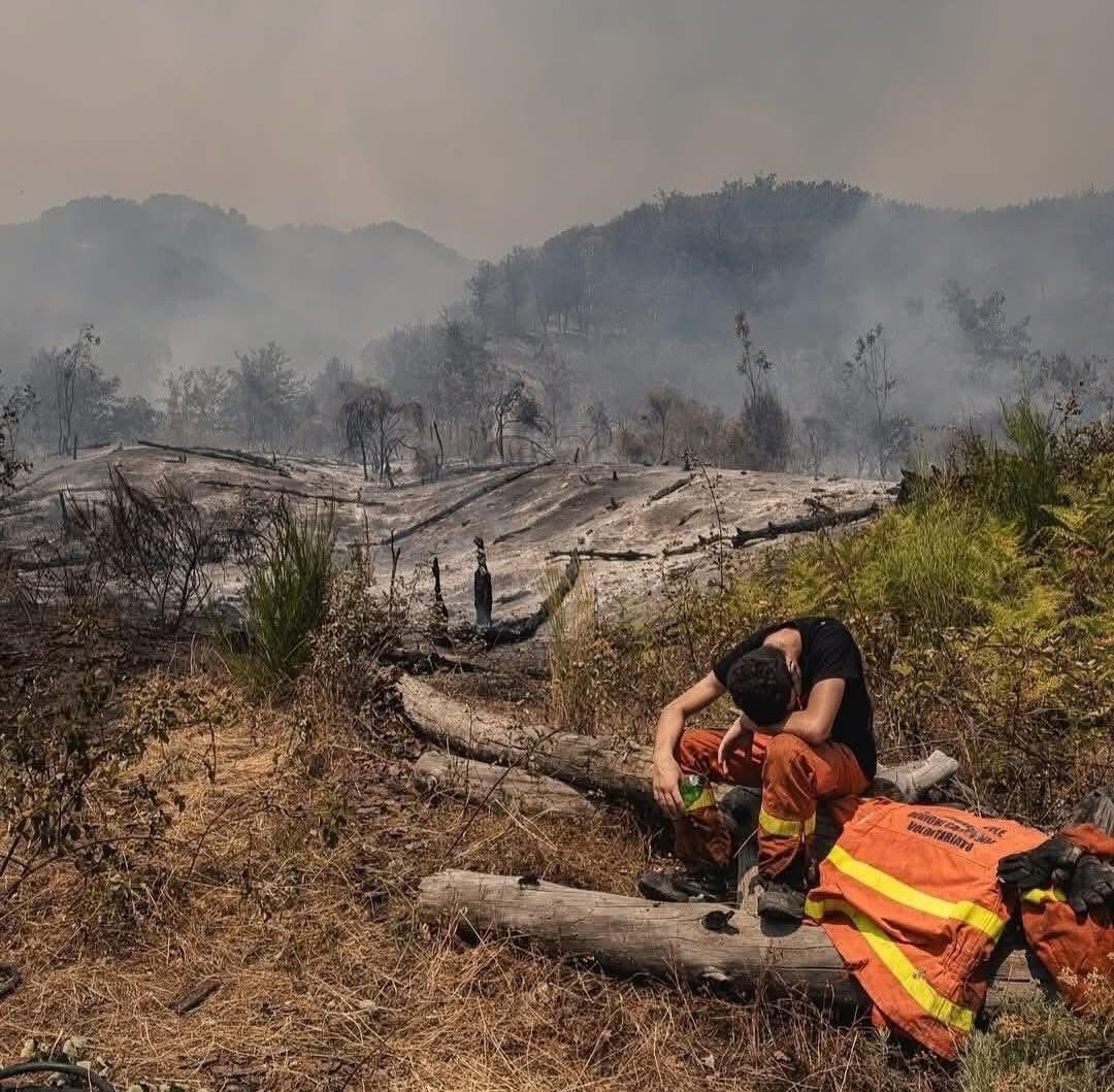 Le fiamme che inceneriscono sua maestà il Vesuvio.
Le fiamme che divorano natura e bellezza, Le fiamme alimentate da mani criminali che mettono a dura prova gli uomini. Quelle mani criminali che meritano di restare legate, per sempre, da manette. 
#vesuvio #incendio
Ph. M.Amoruso