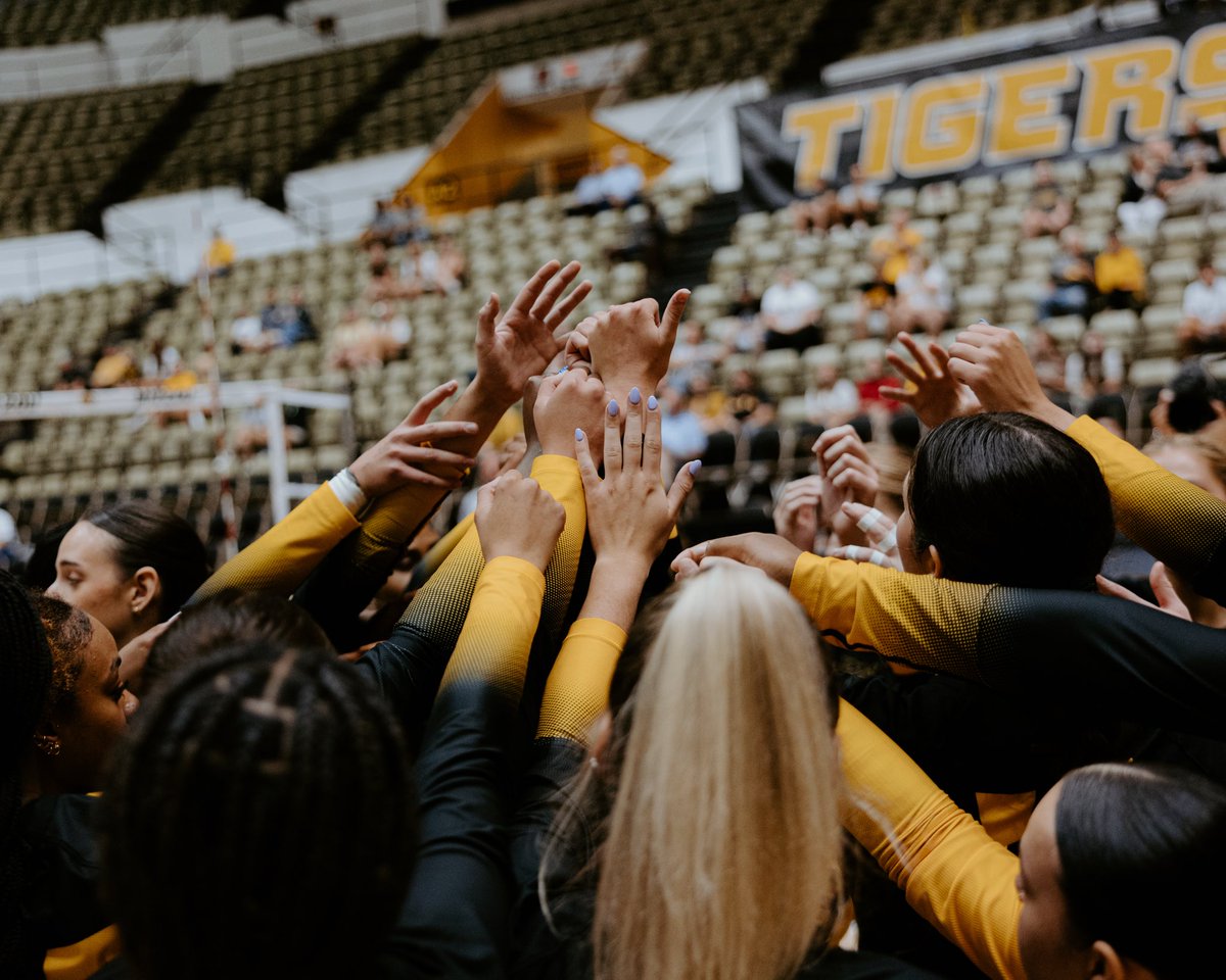 Loading… ⚫️/🟡

Mark those calendars Mizzou volleyball starts at 2 p.m. on Saturday in Hearnes‼️

#MIZ🐯🏐 | #LoveFamilyGrit