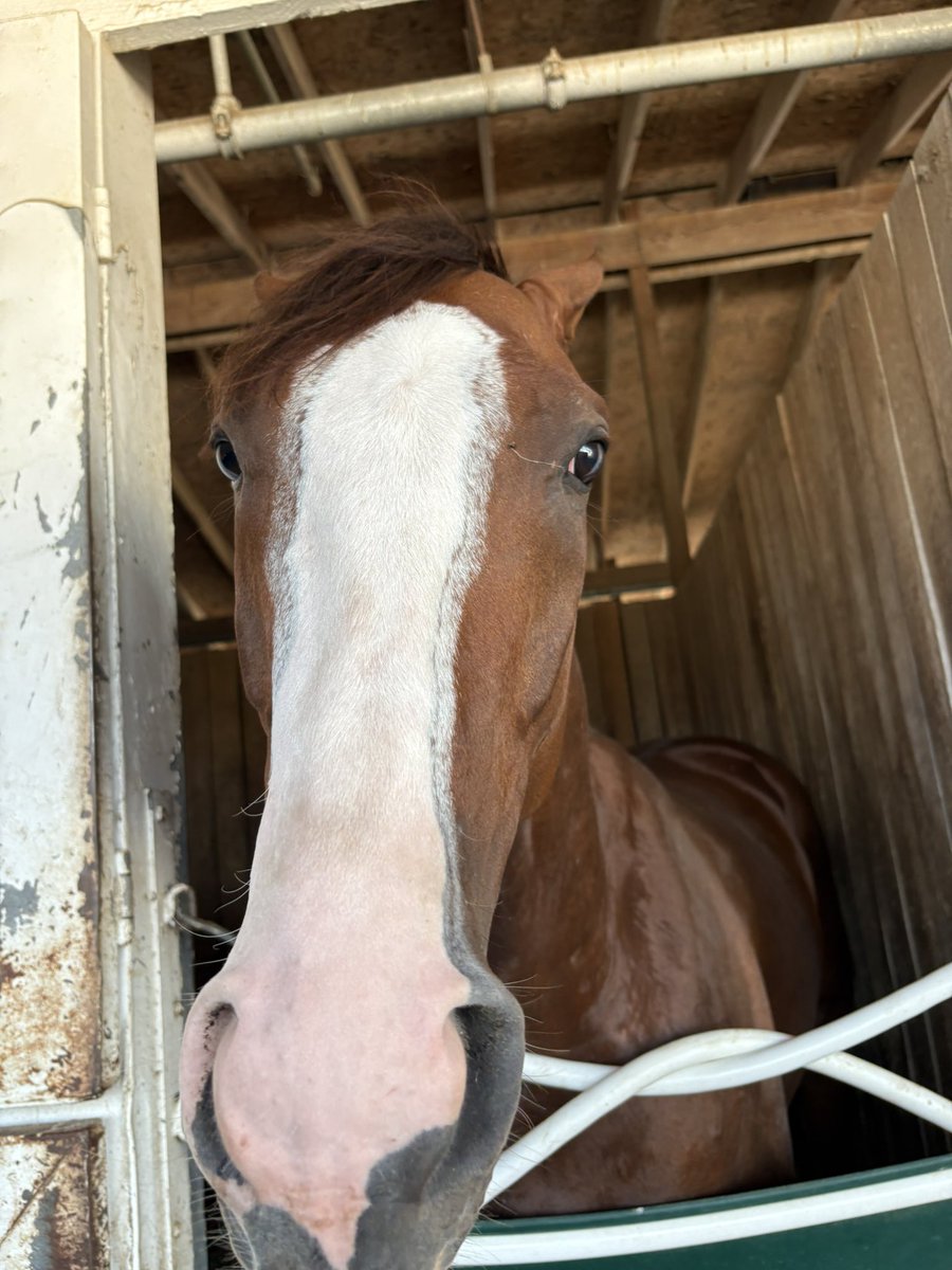 If you don’t have peppermints, I’m not your friend