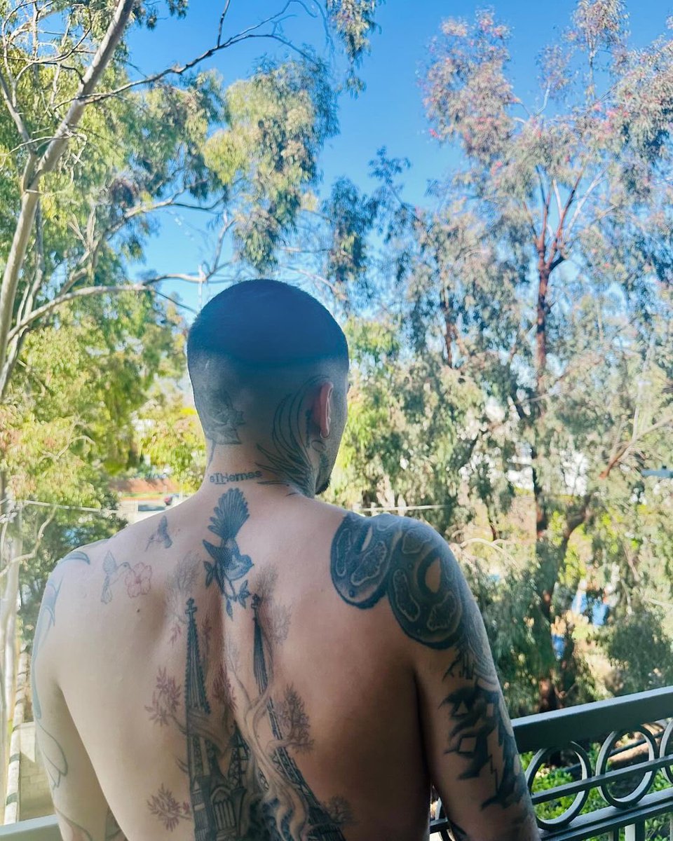 Best Of Zayn (Fã) (@bestofzaynj) on Twitter photo 