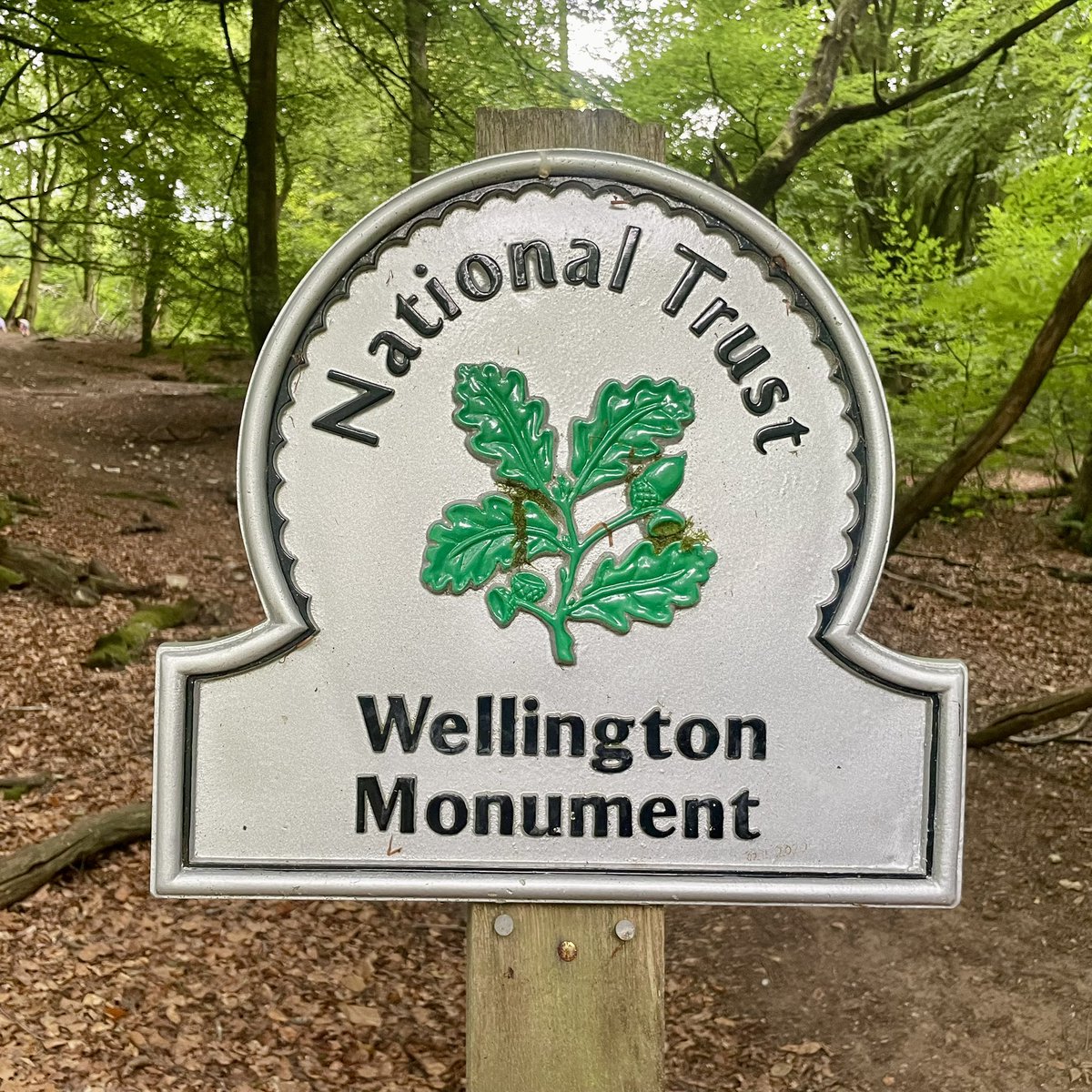 Visiting the #WellingtonMonument was a joyful experience - a great welcome from volunteers Andy and Paul and what an incredible place it is to explore. #naturebeautyhistory <a href="/SmrsetOutdoorNT/">Somerset outdoor</a>