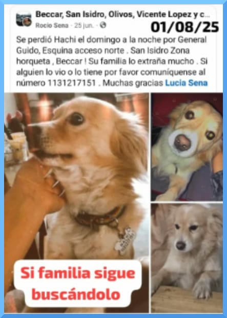 Rt
Recompensa en dolares
