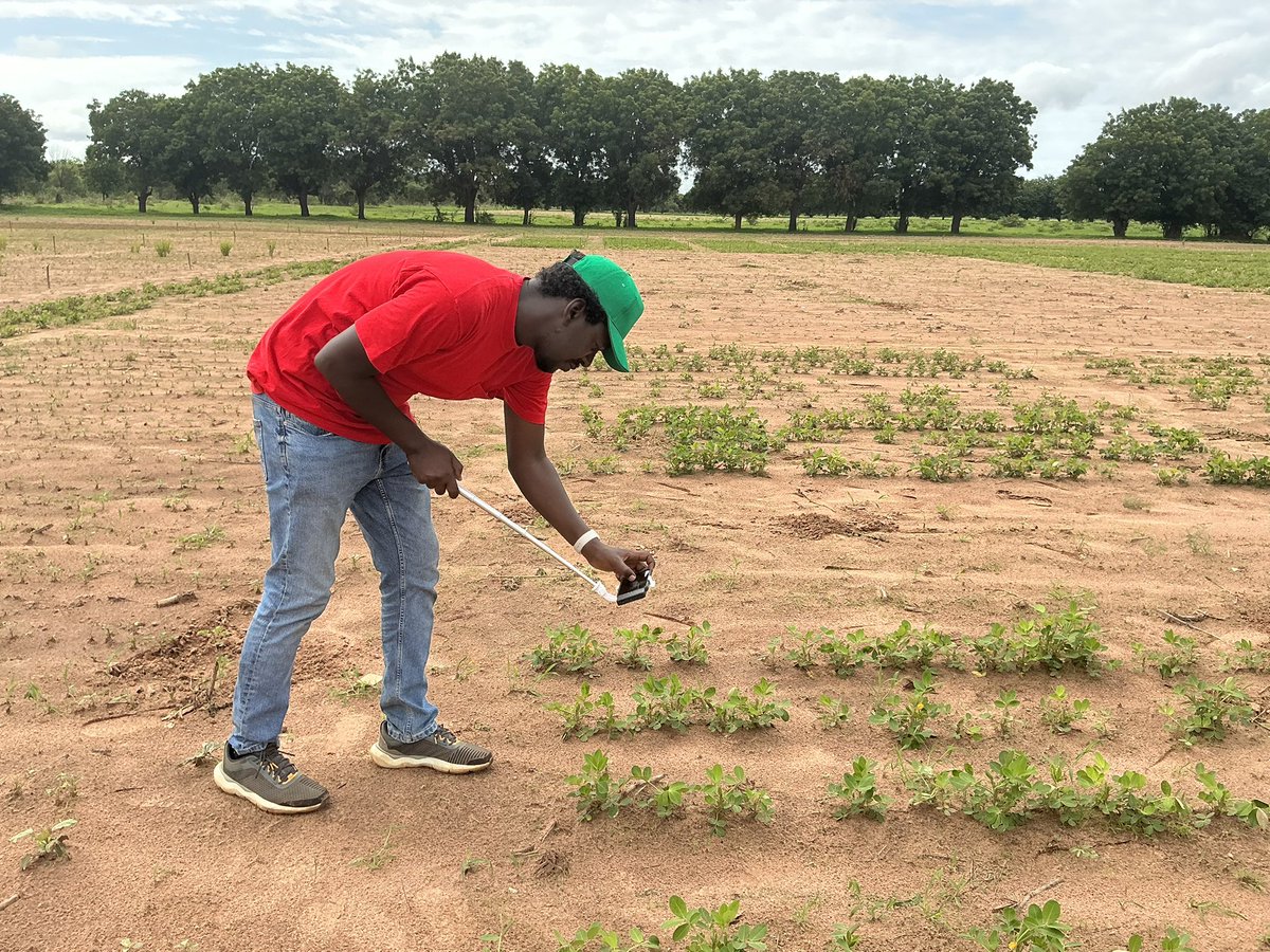🌡️ In the peanut fields testing a mobile thermal device for high-throughput disease screening.
📸 Detect stress before it’s visible.
⚡ Screen hundreds of plots in minutes.
🌱 Speed up delivery of resilient crops to farmers.
From pixels to peanuts → impact. 💡👩🏾‍🌾
#AgTech