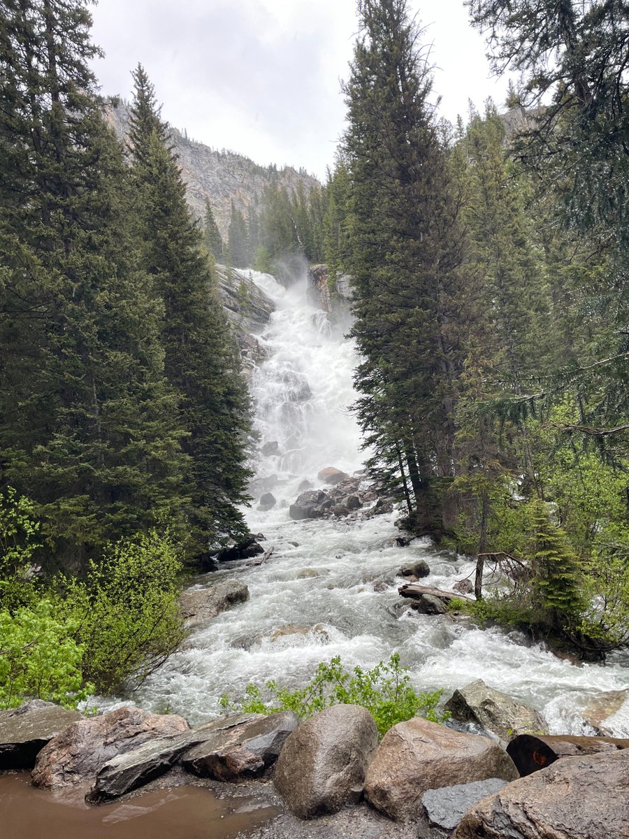ShorelandLuthHS's tweet image. Lisa Jensen from our business office took a summer hike to Hidden Falls—and got caught in a hailstorm on the way! ⛈️ She came back with a wild story and some gorgeous trail pics. #FacultyHighlight #ShorelandLutheran #HikingAdventures