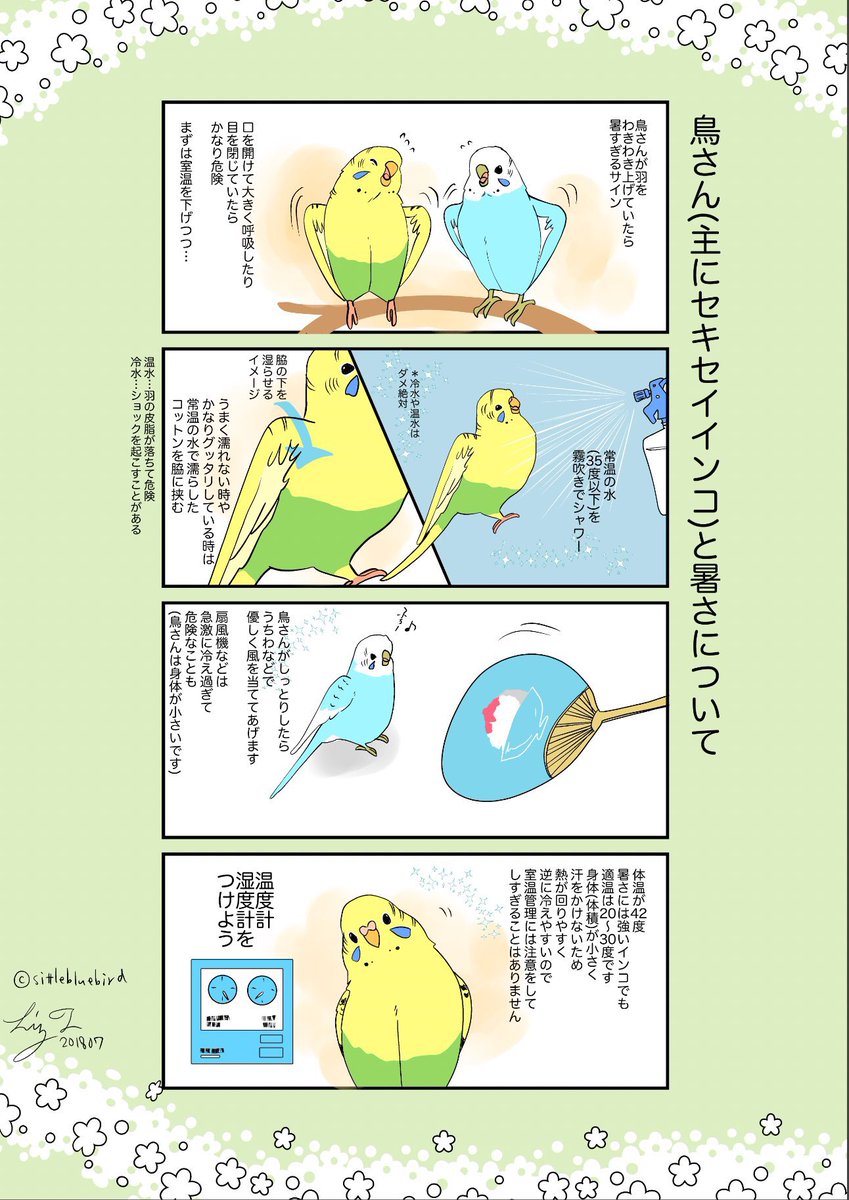 【ペット同伴避難(小鳥)の話】
おはようございます。
九州の水害で被害に遭われた皆さまへ、心よりお見舞い申し上げます。名古屋でもこの時期は冠水の記憶があり、ほんとうに他人事ではありません。
今日は「小鳥といっしょに避難」を現実的にするための行き先などを考えてみました🕊️
■ 用語