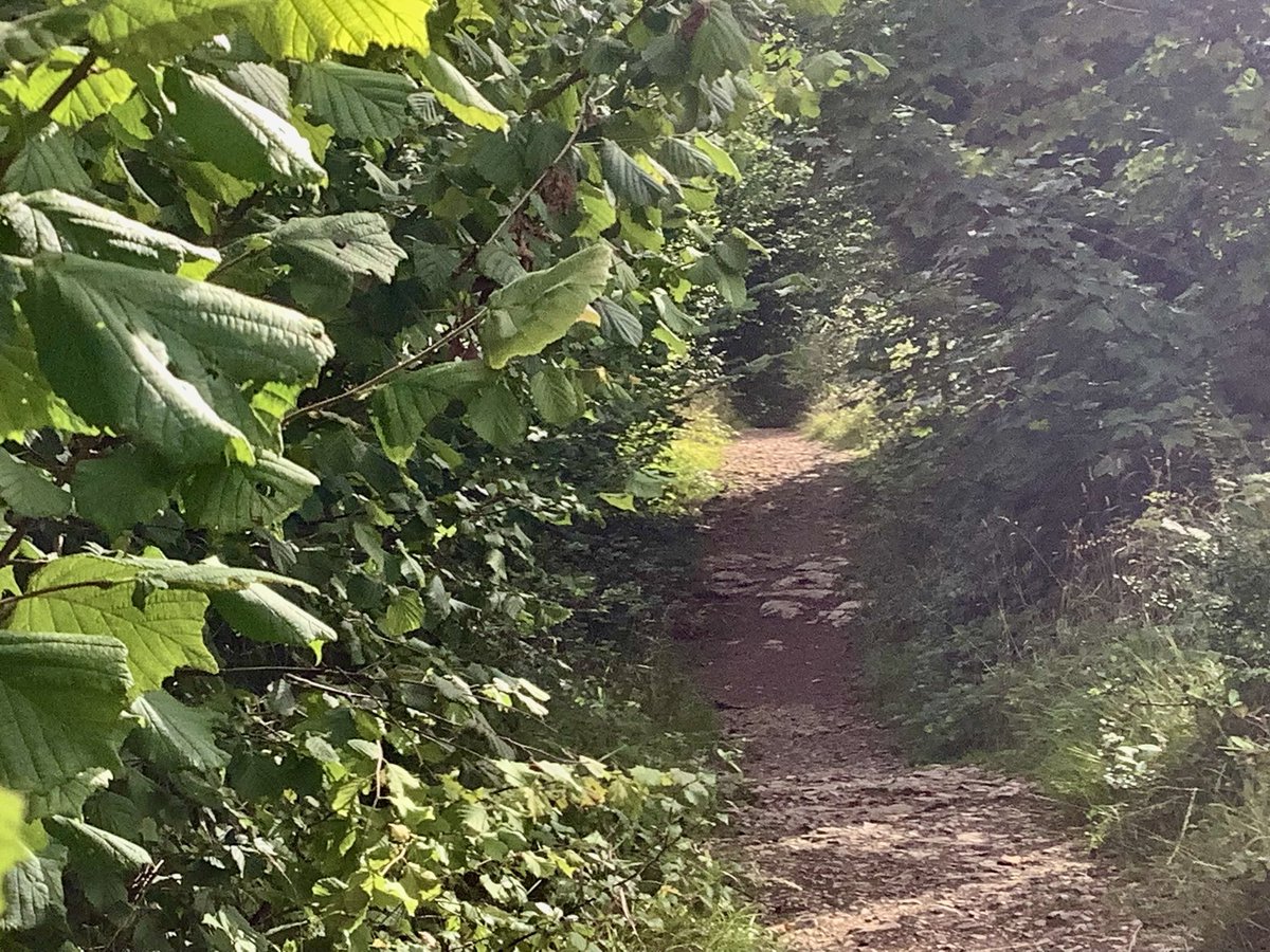 GraveStories's tweet photo. https://t.co/cTLrC9glI8 ⬅️
Click the link & join me along Beetham’s corpse road, past a hollow-eyed farmhouse, to the narrow Fairy Steps — where legend grants a wish if you pass without touching the stone. Death, decay & a hint of otherworldly magic #fairies #corpseroad https://t.co/Aw2YKz86zg