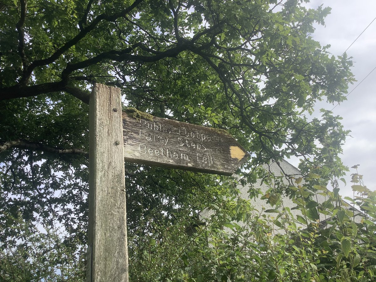 GraveStories's tweet photo. https://t.co/cTLrC9glI8 ⬅️
Click the link & join me along Beetham’s corpse road, past a hollow-eyed farmhouse, to the narrow Fairy Steps — where legend grants a wish if you pass without touching the stone. Death, decay & a hint of otherworldly magic #fairies #corpseroad https://t.co/Aw2YKz86zg
