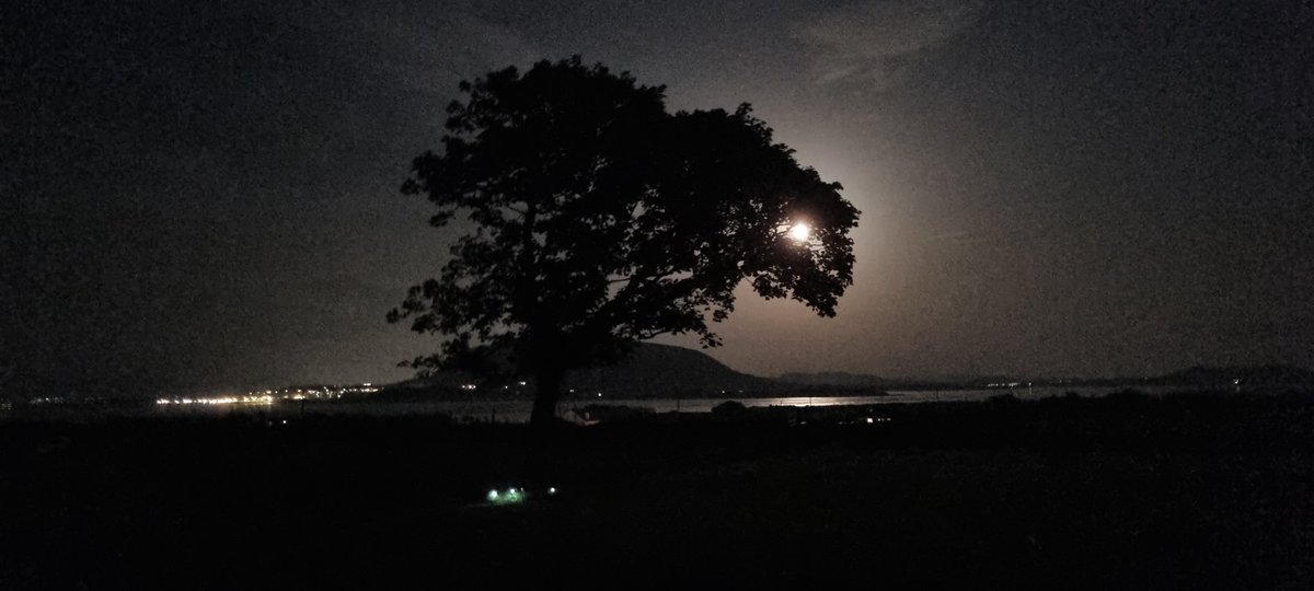 Darragh Harkin tweet media