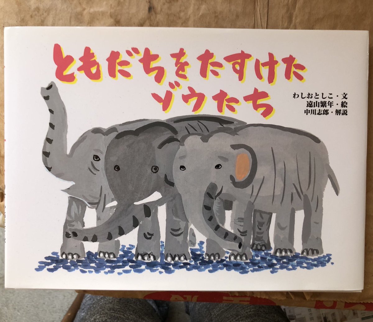 きょうちゃん tweet media