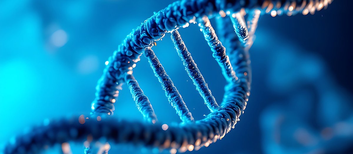 Northwestern CSB (@nusynbio) on Twitter photo A new <a href="/PNASNews/">PNASNews</a> study from <a href="/NorthwesternU/">Northwestern</a> reveals paraspeckles form via protein competition for RNA — not layered binding. Led by <a href="/shrinivaslab/">Krishna Shrinivas</a> & team, this could reshape cancer therapy by decoding condensate “logic.”
🔗 bit.ly/4ln215U
#CancerResearch #RNA A new <a href="/PNASNews/">PNASNews</a> study from <a href="/NorthwesternU/">Northwestern</a> reveals paraspeckles form via protein competition for RNA — not layered binding. Led by <a href="/shrinivaslab/">Krishna Shrinivas</a> & team, this could reshape cancer therapy by decoding condensate “logic.”
🔗 bit.ly/4ln215U
#CancerResearch #RNA