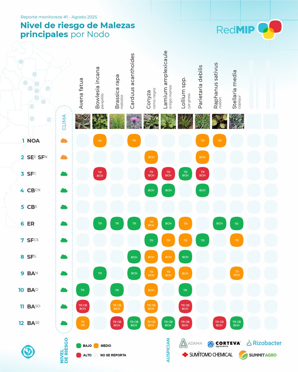Panorama de #malezas 🌿 en las principales zonas productivas del país, según los monitoreos de los #NodosAAPPCE. 

Datos del #informeRedMIP recientemente publicado.

Mirá la info. ampliada 👉bit.ly/47oDOZJ

#ElMonitoreoEnTodosLados