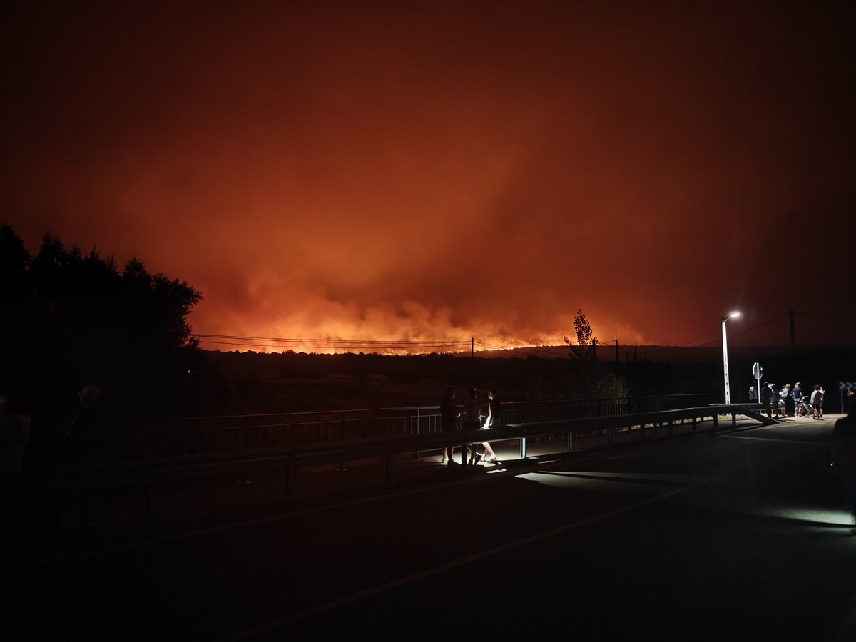 Jaime Casado tweet media