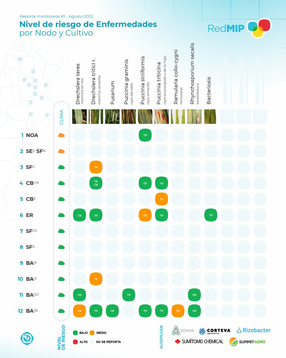 🍄 🌾Escenario nacional de enfermedades en #trigo y #cebada, a partir de los monitoreos de los #NodosAAPPCE, en el #informeRedMIP para lo que va de agosto.

Más detalles de otras plagas 👉bit.ly/47oDOZJ

#ElMonitoreoEnTodosLados #RedMIP