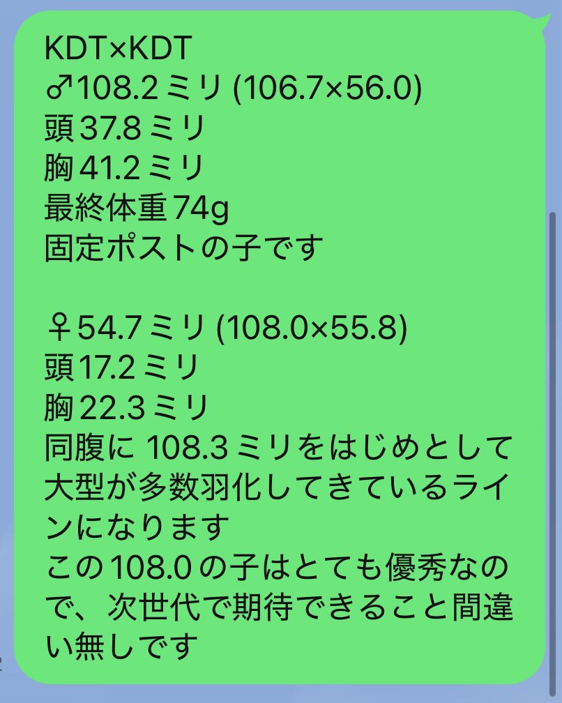 フォロワー700人突破記念プレゼント企画✨
お待たせし過ぎて750人も突破してしまいましたが、準備が出来ましたので開催させて頂きます🔥
今回は2枚目の掛け合わせのスマトラヒラタの初令幼虫3頭を1名様にプレゼント致します✨
応募方法は1枚目をご覧ください🙇‍♂️

かなりのサラブレッドの幼虫です🔥🔥