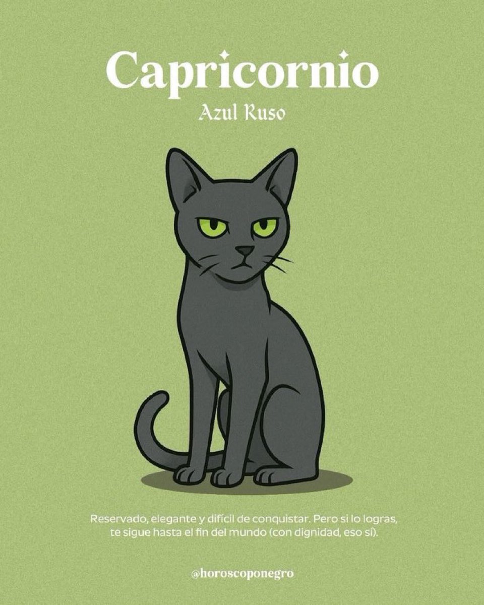 Ro 🌻 (@rociotoroparral) on Twitter photo 