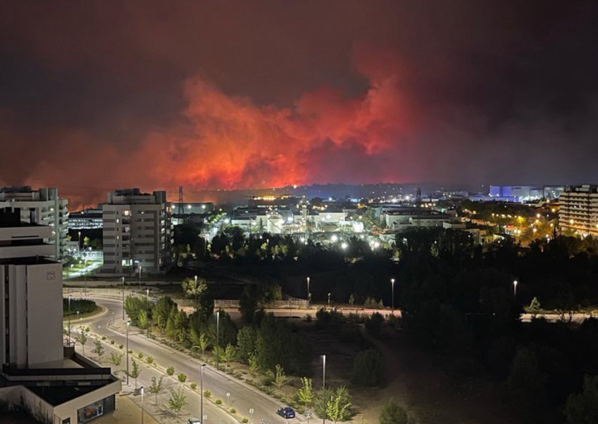 🇪🇸 tweet media